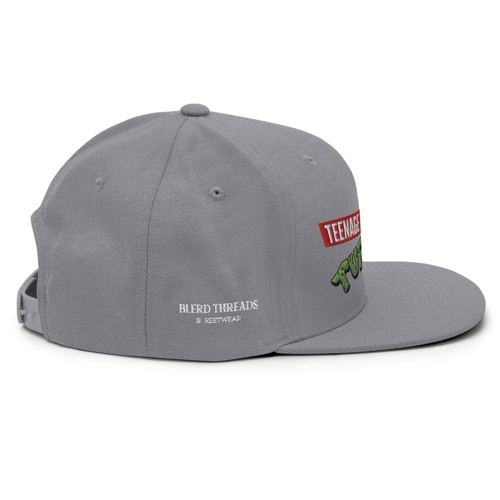 TMNT Snapback Hat